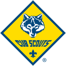 Cub Scouts